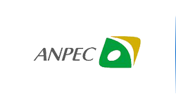 Anpec Electronicsӵһҹ˾?